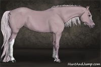 Horse Color:Watercolor Silver Grullo 