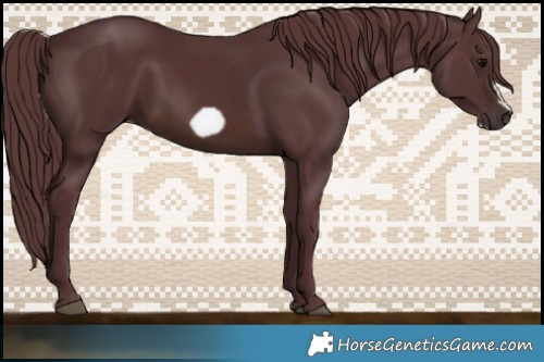 Horse Color:Chocolate Brown Frame 