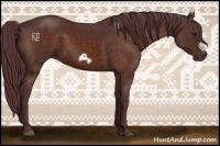 Horse Color:Chocolate Bay Frame 