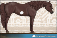 Horse Color:Chocolate Brown Frame 