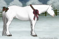 Horse Color:Liver Chestnut Frame Appaloosa 