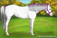 Horse Color:Liver Chestnut Frame 