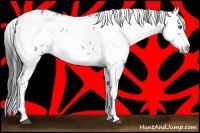 Horse Color:Black Frame 