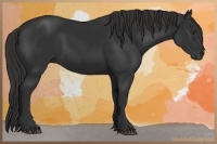 Horse Color:Liver Chestnut Frame 