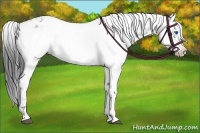 Horse Color:Black Frame Varnish