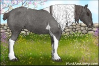 Horse Color:Liver Chestnut Tobiano Appaloosa 