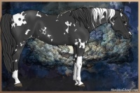 Horse Color:White Spotted Black 