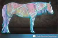 Horse Color:Thunderstruck Watercolor Bay Sabino Rabicano  and Thunderstruck Watercolor Bay Sabino Rabicano 