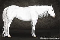 Horse Color:Silver Smoky Black Frame Appaloosa 