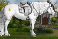 Horse Color:Grullo Splash Tobiano 