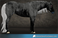 Horse Color:ERROR: UNKNOWN ANOMALY and ERROR: UNKNOWN ANOMALY