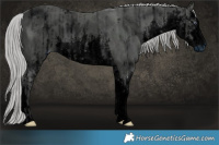 Horse Color:ERROR: UNKNOWN ANOMALY and ERROR: UNKNOWN ANOMALY