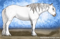 Horse Color:Silver Grullo Sabino Splash Frame Rabicano