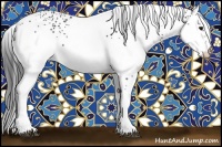 Horse Color:White Spotted Black Rabicano 