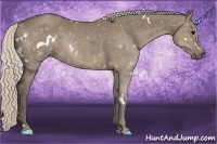 Horse Color:White Spotted Silver Grullo Rabicano 