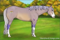 Horse Color:Watercolor Silver Bay Dun Sabino 