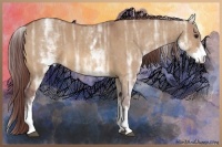 Horse Color:White Spotted Chocolate Bay Ice Dun Rabicano Brindle