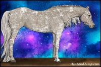 Horse Color:Silver Smoky Black Ice