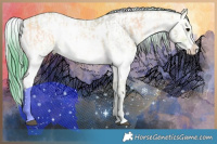 Horse Color:Watercolor Buckskin Onyx Sabino Rabicano  and Watercolor Buckskin Onyx Sabino Rabicano 