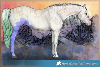 Horse Color:Watercolor Buckskin Onyx Sabino Rabicano  and Watercolor Buckskin Onyx Sabino Rabicano 