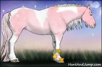Horse Color:Watercolor Cremello Tobiano Rabicano