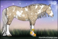 Horse Color:White Spotted Silver Brown Ice Dun Splash 