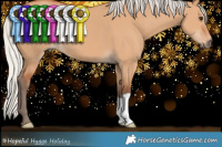 Horse Color:Silver Bay Dun 