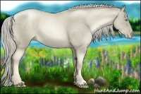 Horse Color:Chocolate Palomino Pearl