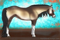 Horse Color:Bay Onyx 