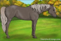 Horse Color:Silver Black 