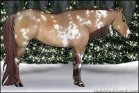 Horse Color:White Spotted Chocolate Bay Dun Rabicano  Brindle