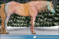 Horse Color:Liver Chestnut Ice Pearl Sabino  Brindle