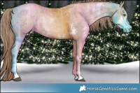 Horse Color:Liver Chestnut Ice Pearl Sabino  Brindle