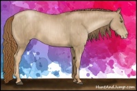 Horse Color:Liver Chestnut Pearl  Brindle