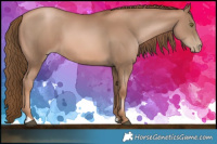 Horse Color:Liver Chestnut Pearl  Brindle