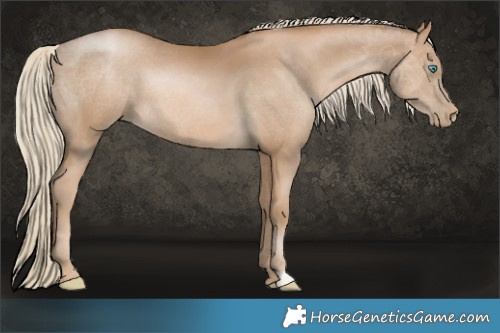 Horse Color:Chocolate Palomino Pearl  Brindle