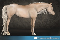 Horse Color:Chocolate Palomino Pearl Brindle