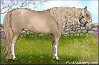 Horse Color:Liver Chestnut Pearl  and Liver Chestnut Pearl 