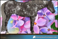Horse Color:White Spotted Liver Chestnut Mushroom  and White Spotted Liver Chestnut Mushroom 