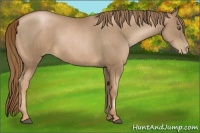 Horse Color:Liver Chestnut Pearl  and Liver Chestnut Pearl 