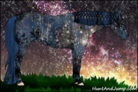 Horse Color:ERROR: UNKNOWN ANOMALY and ERROR: UNKNOWN ANOMALY