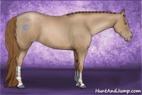 Horse Color:Liver Chestnut Pearl and Liver Chestnut Pearl