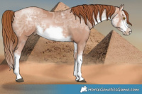 Horse Color:White Spotted Chocolate Bay Ice Pearl Frame  Brindle