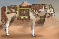 Horse Color:White Spotted Chocolate Bay Ice Pearl Frame  Brindle