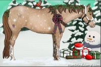 Horse Color:Bay Pearl  and Bay Pearl 