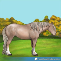 Horse Color:Liver Chestnut Pearl Mushroom and Liver Chestnut Pearl Mushroom