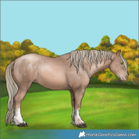 Horse Color:Liver Chestnut Pearl Mushroom  and Liver Chestnut Pearl Mushroom 