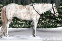 Horse Color:Chocolate Bay Pearl Sabino and Chocolate Bay Pearl Sabino
