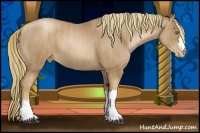 Horse Color:Liver Chestnut Pearl  Brindle