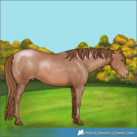 Horse Color:Bay Pearl Brindle